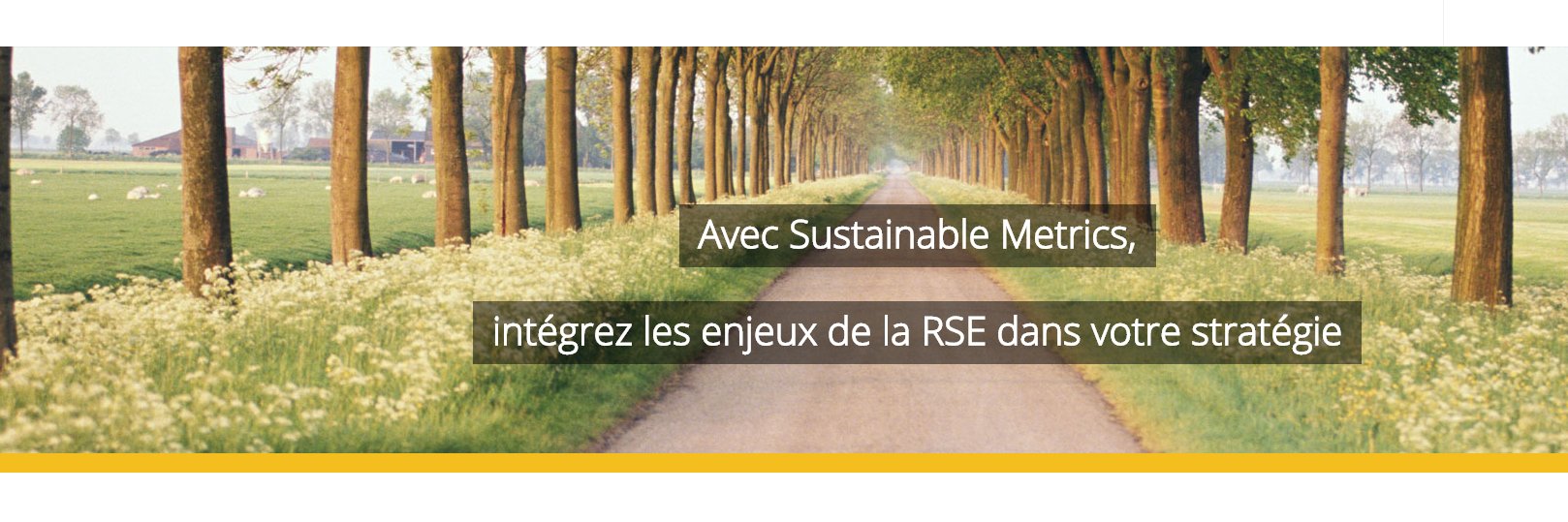 Crowe - Sustainable Metrics banner