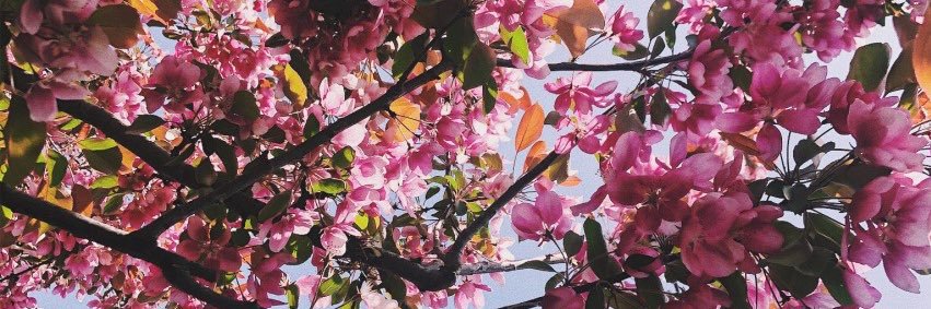 Kbb_12's profile banner image