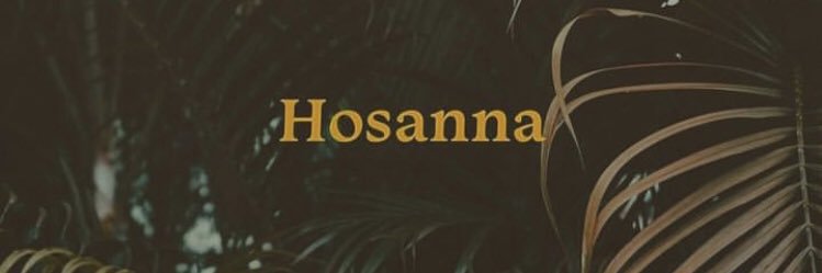 pacorae_'s profile banner image