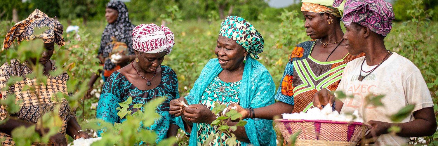 Better Cotton banner