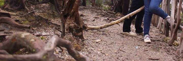 _reeary's profile banner image