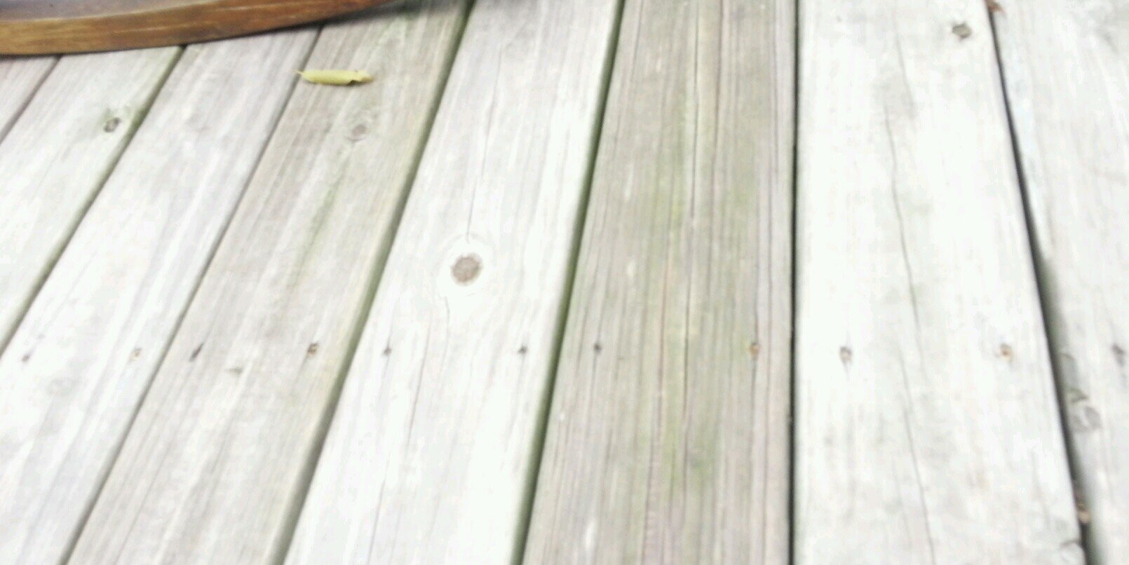 Kronomulus's profile banner image