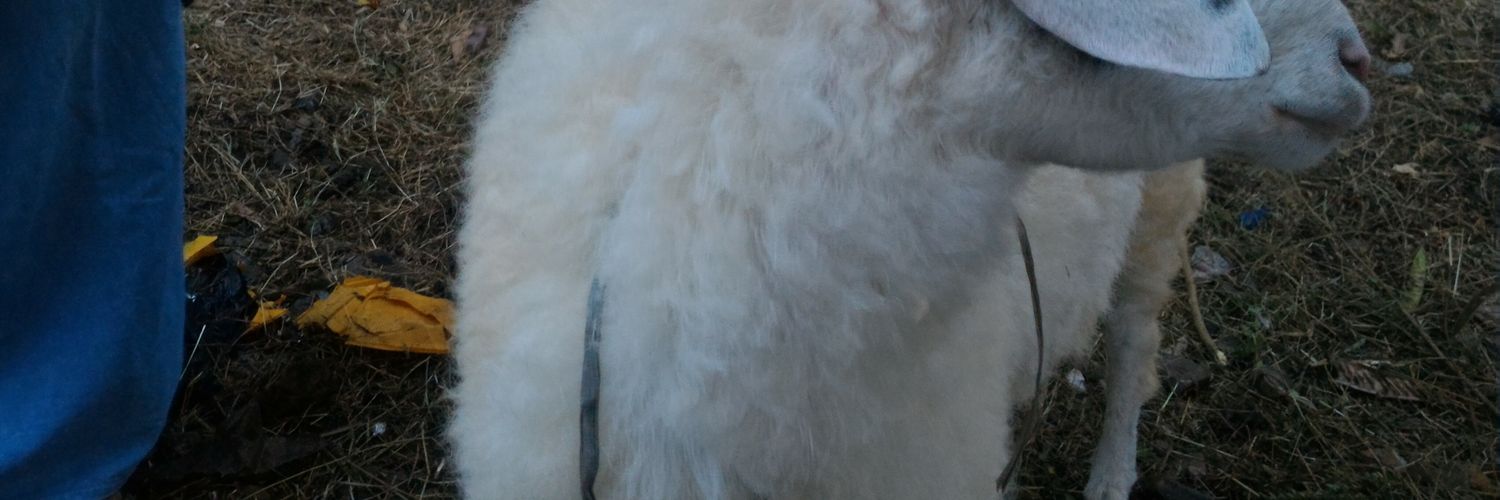 marulm's profile banner image