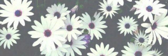 wul🐼 banner