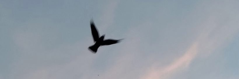kuslu__gazel's profile banner image