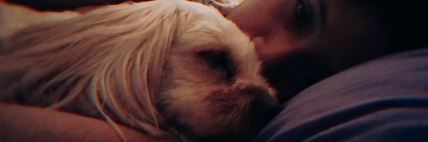 hana⚡ banner