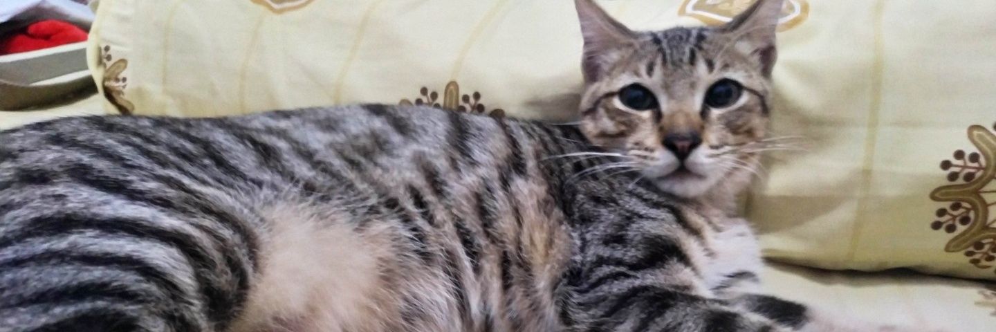 mblem_'s profile banner image