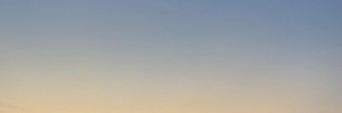 fay. banner