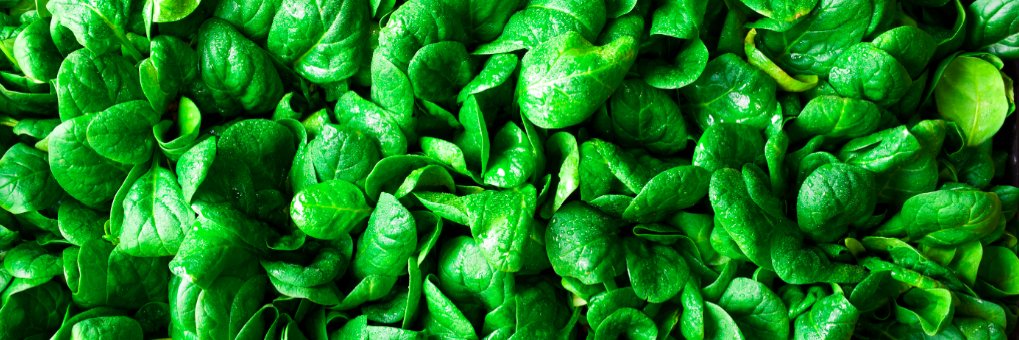 TheFarmJuiceCo's profile banner image
