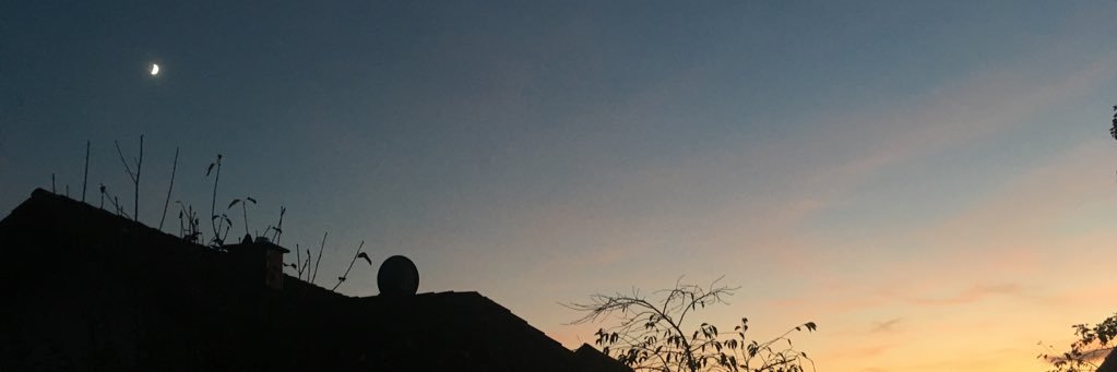 caaraax's profile banner image