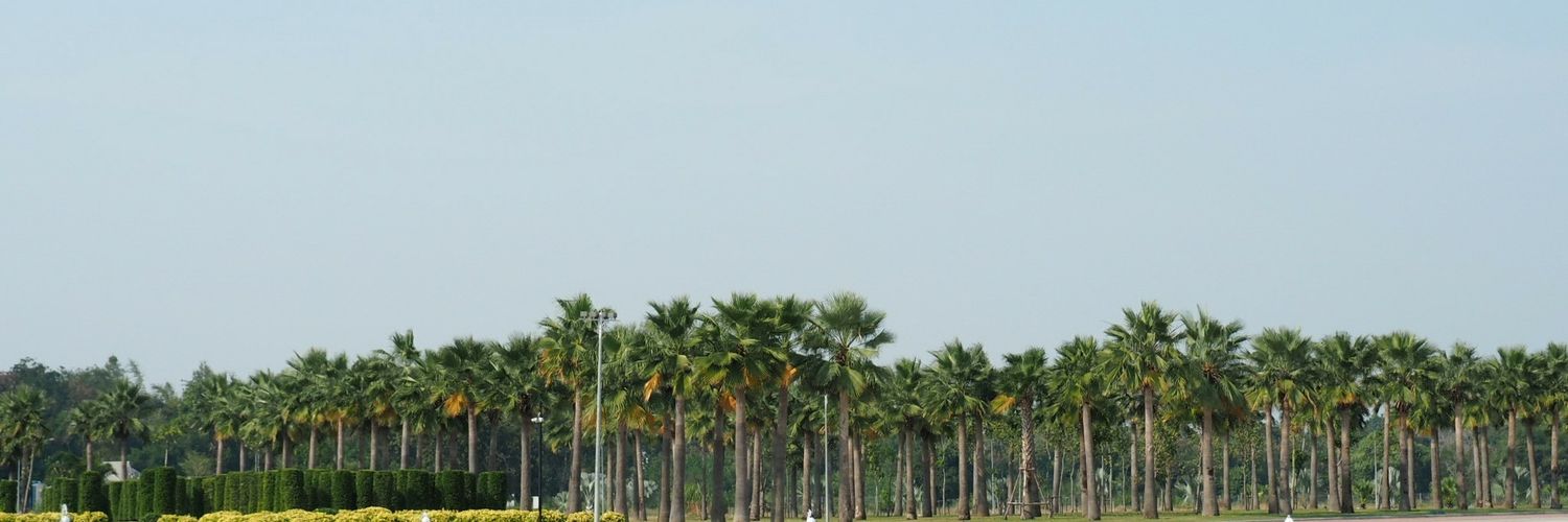 toy412's profile banner image