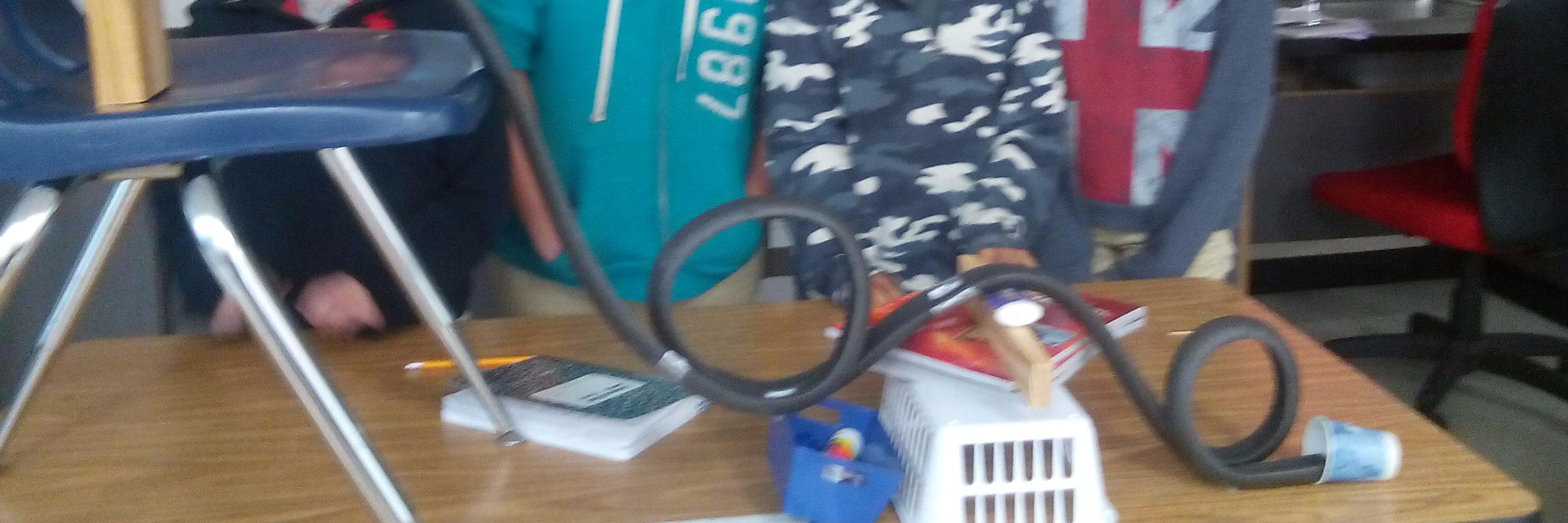 Amarilys William banner