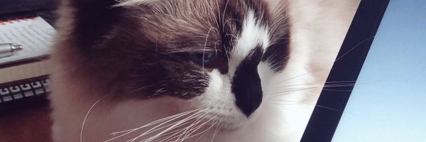 LibraryUnedited Profile Banner