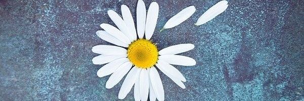 NDania_'s profile banner image
