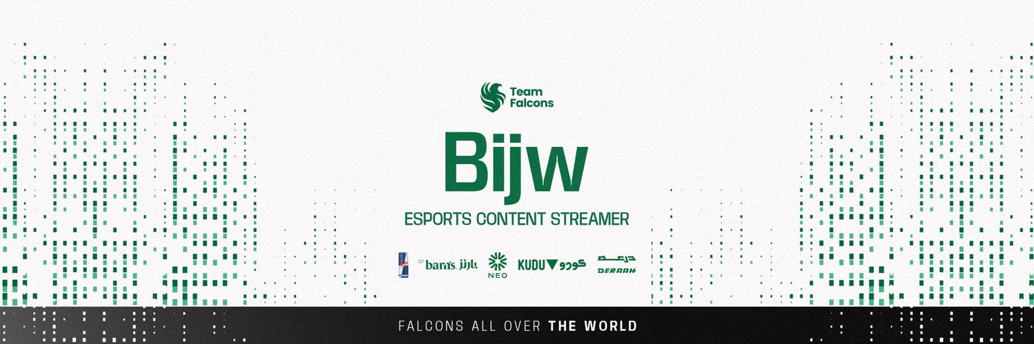 Falcon Bijw banner