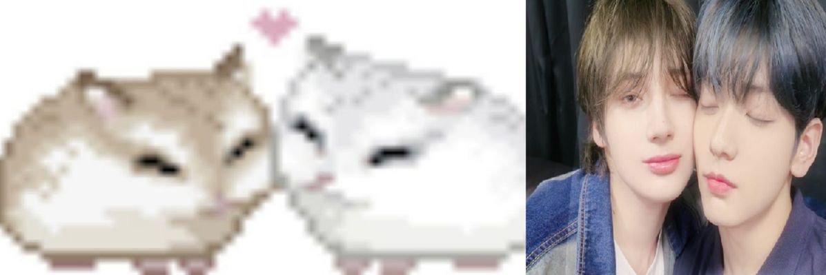 hailey banner