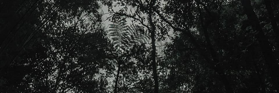 ImPhilipLouis's profile banner image
