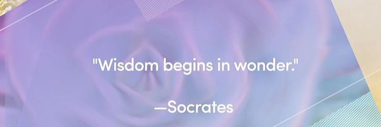 Rachael Fogarty banner