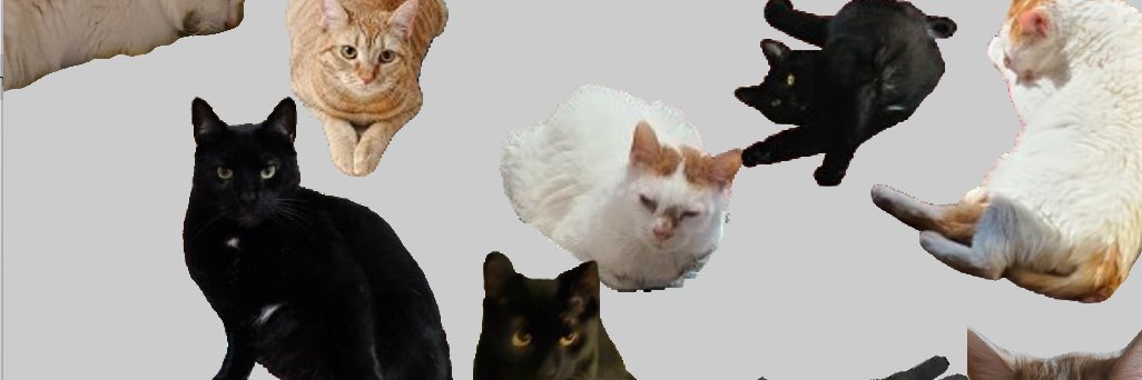 RitawWang's profile banner image
