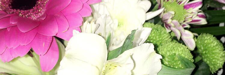 SweetDreams1992's profile banner image