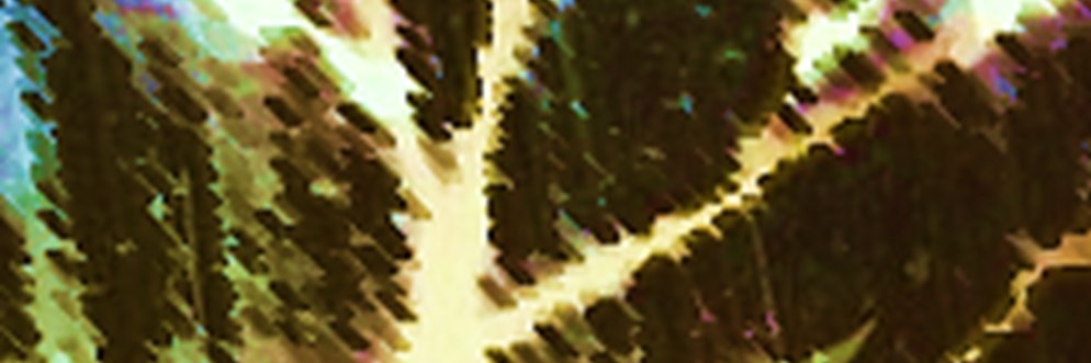 Skeleton Jazz Wizard banner