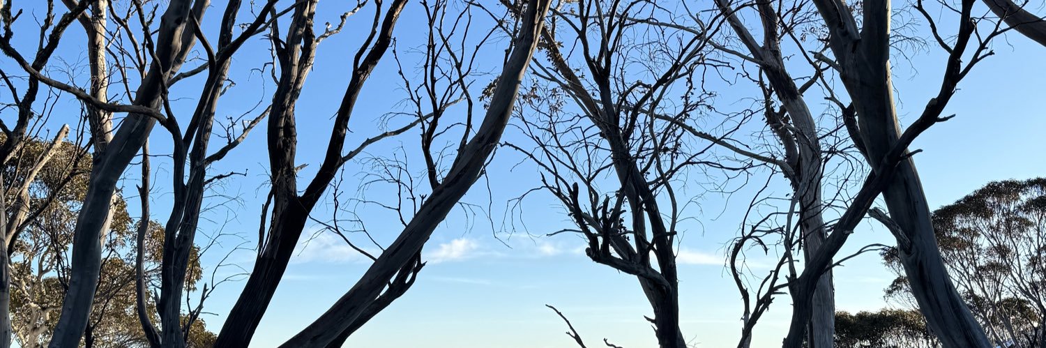 hanumdwio's profile banner image