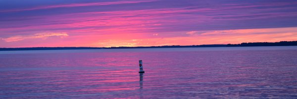 Ronzgal97 Profile Banner