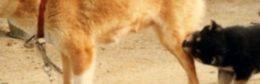tamarbs's profile banner image