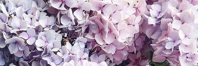 wangxian brainrot banner