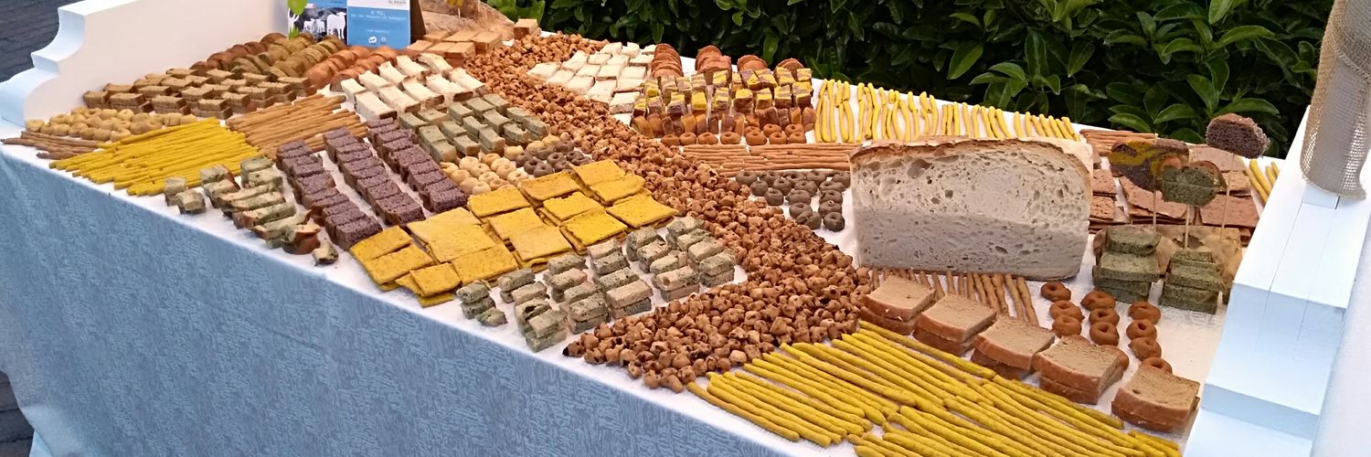 pascalbarbato's profile banner image