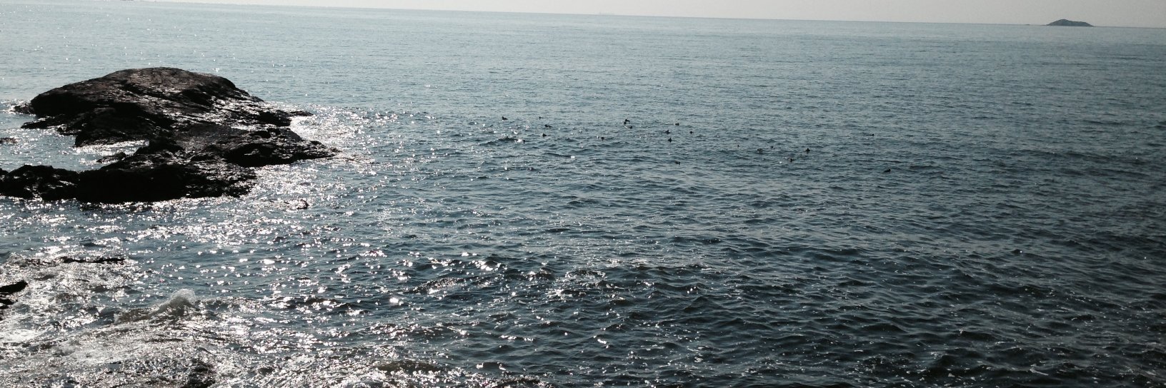 themumoirs's profile banner image