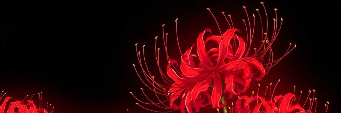zerimustdie's profile banner image