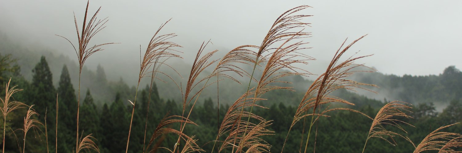 Mountain Hawk banner