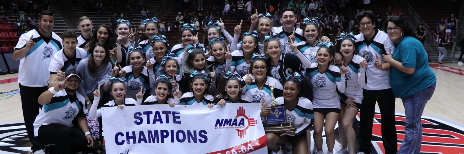 onatecheer's profile banner image