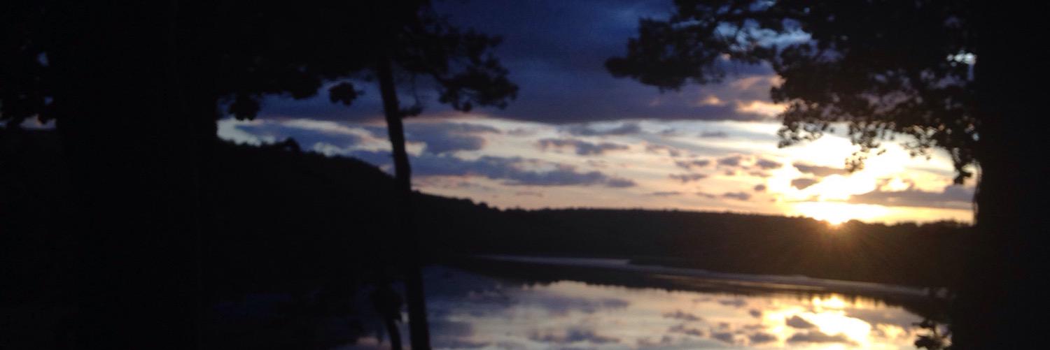 eva_fleming's profile banner image