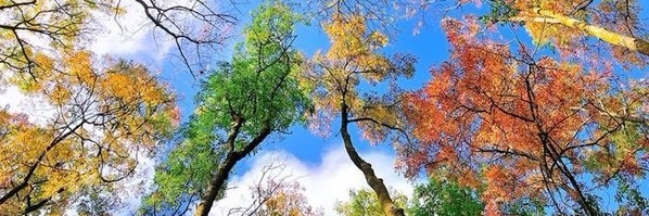 ItsMeTheRahul's profile banner image