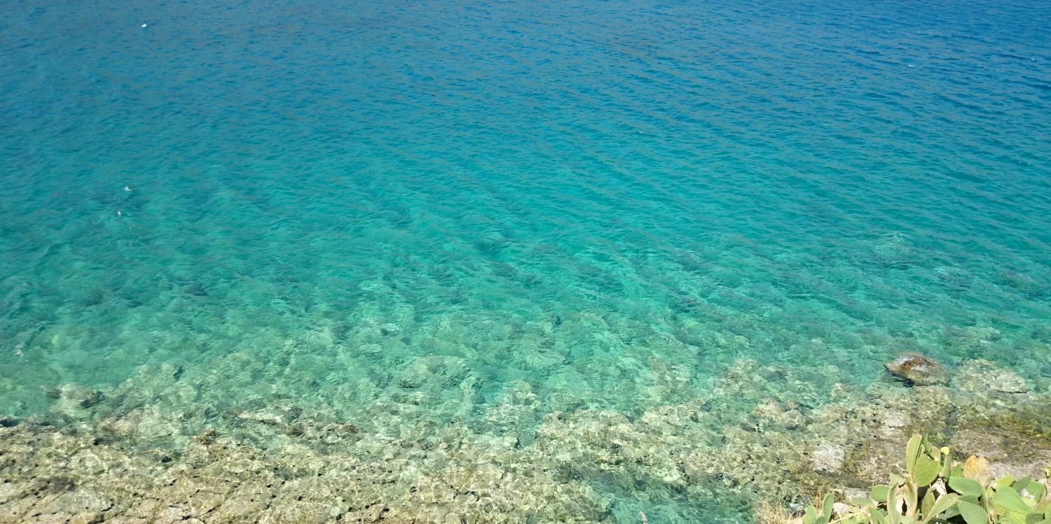 Tim C 🇪🇺🌍 banner