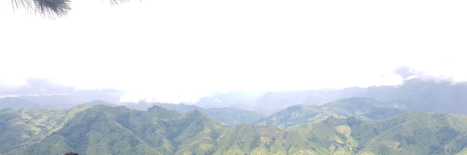 vangioffri's profile banner image