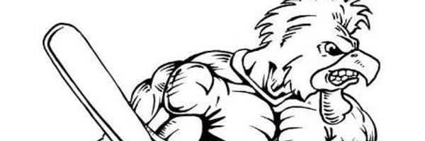 fightinchicks Profile Banner