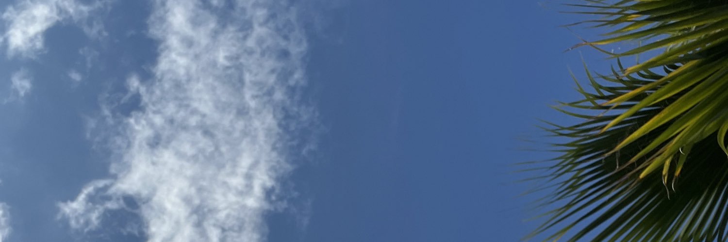 tytapalilla's profile banner image