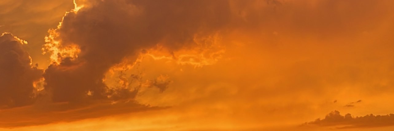 ilsenavarroc's profile banner image