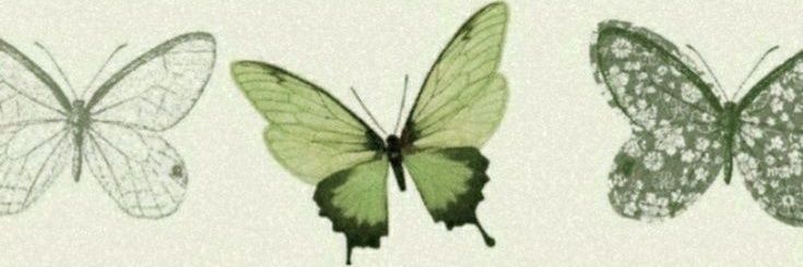 buzzerjolyne's profile banner image