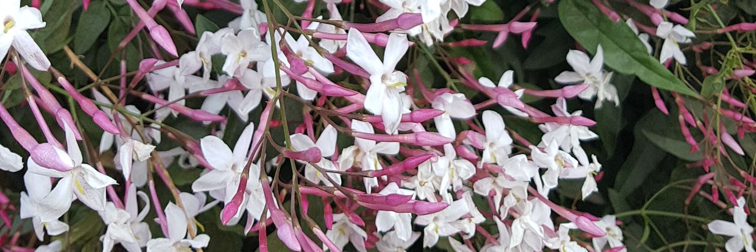 jennyfroome's profile banner image