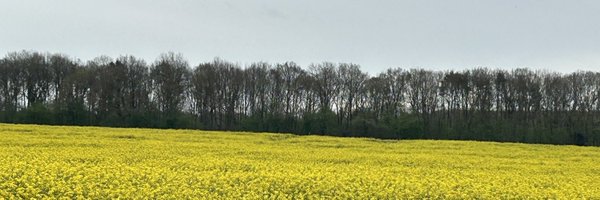 Fabida3 Profile Banner