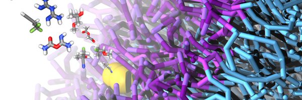 tristanbereau Profile Banner