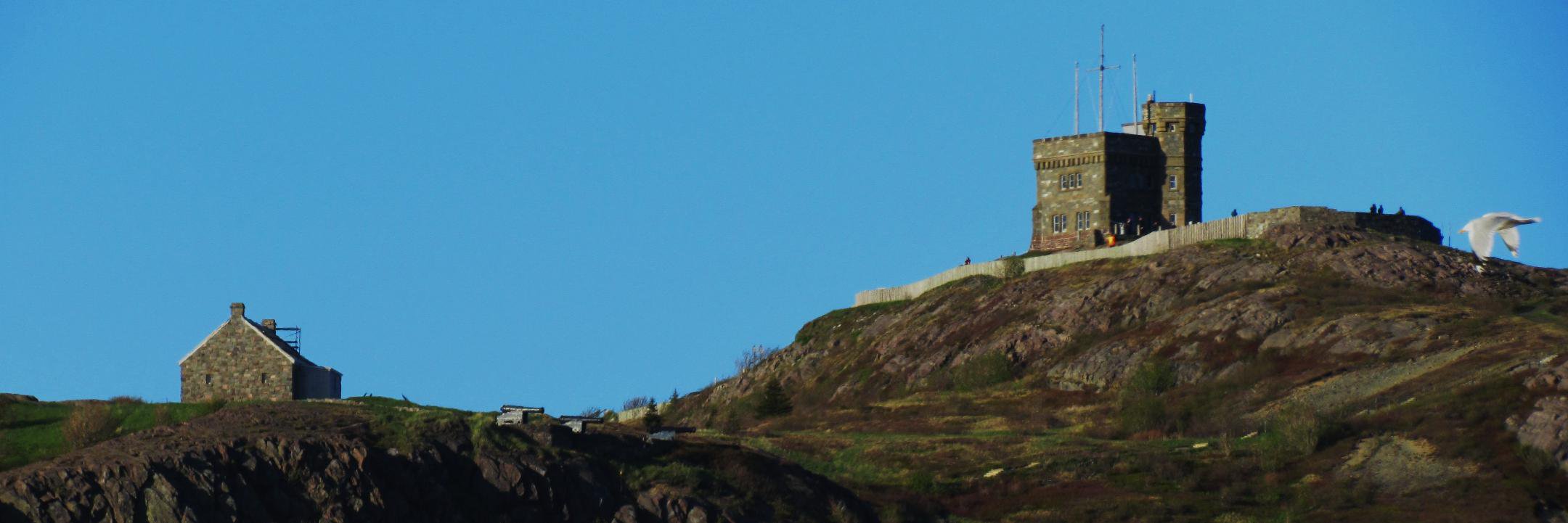 Go Newfoundland.com banner