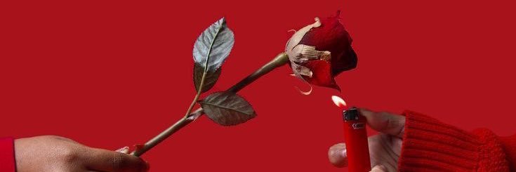 titletubtle's profile banner image