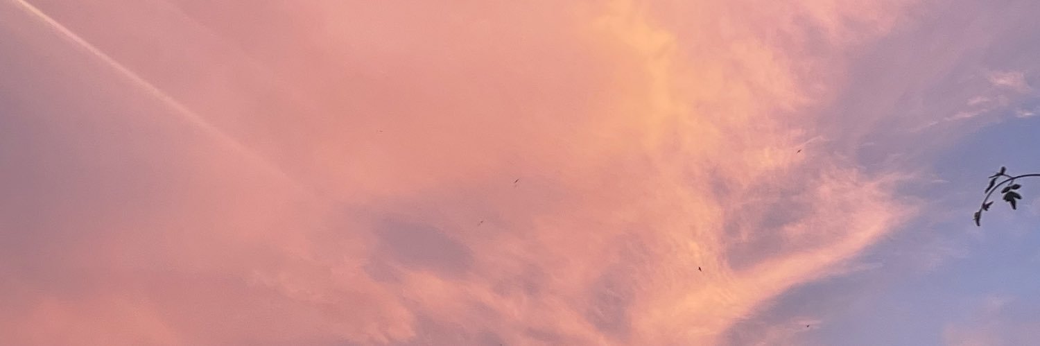 evainiestta's profile banner image