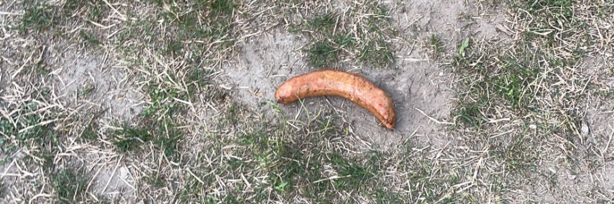 Car Crash Rhetoric banner