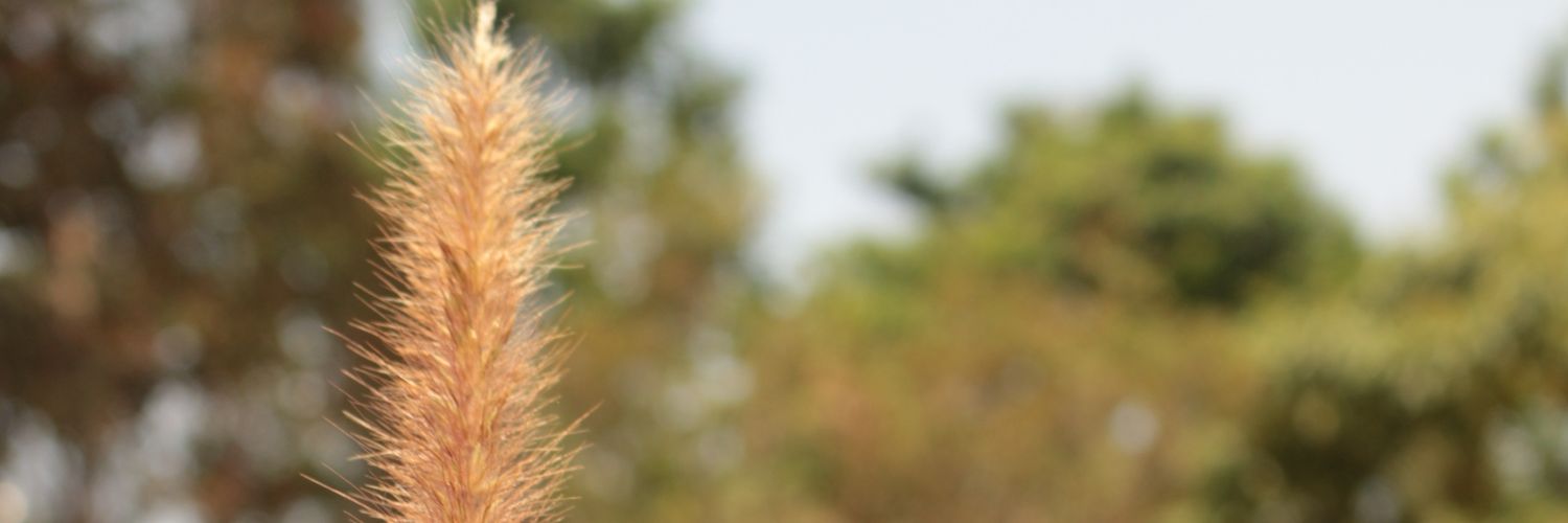 djaprx's profile banner image